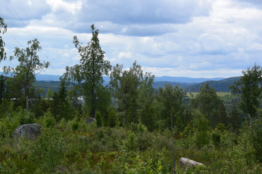 Kullen  Mieps Huset Dalarna Holiday מראה חיצוני תמונה